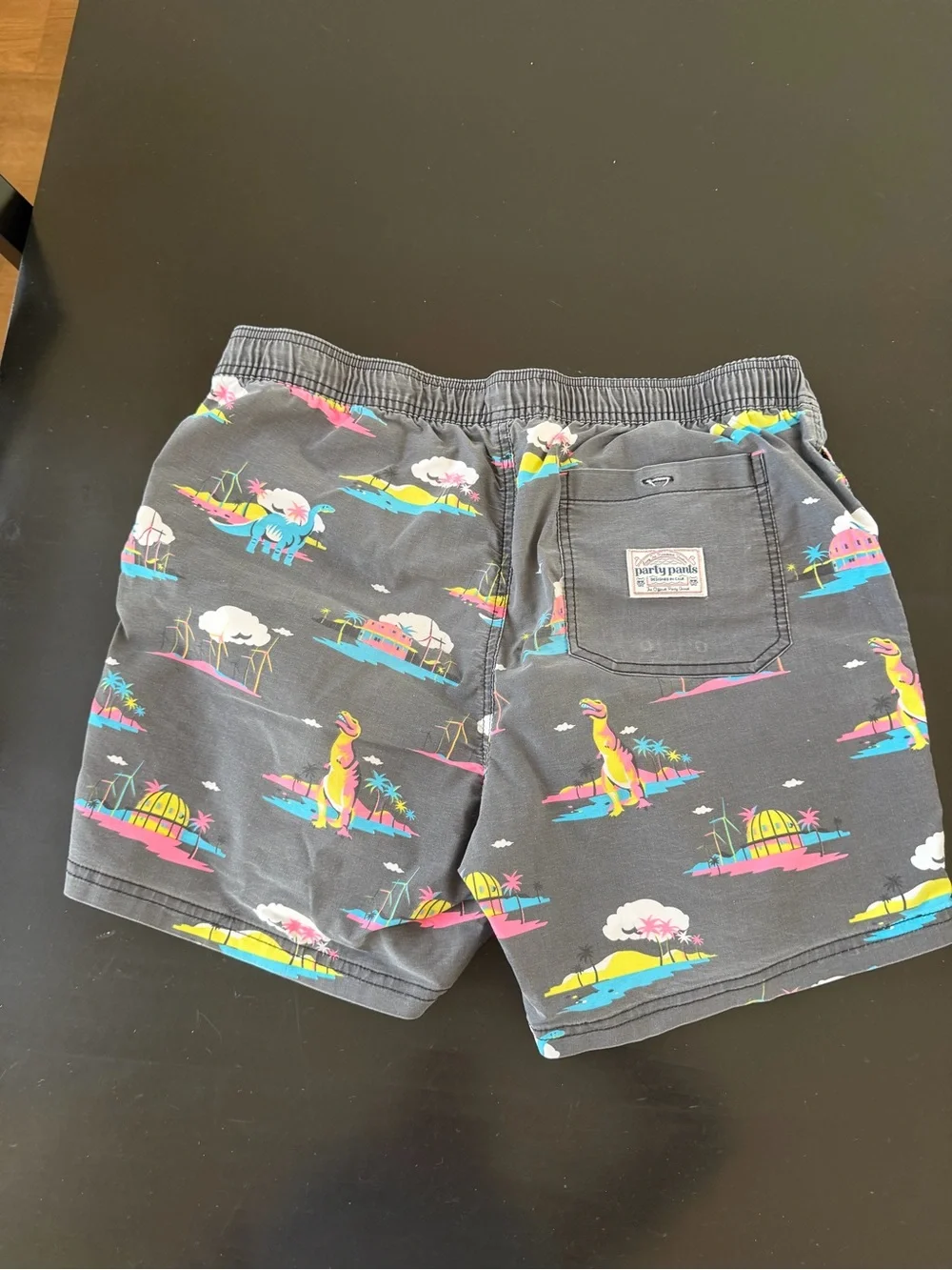 Party Pants Men's Gray Tropical Dino Swim Trunks